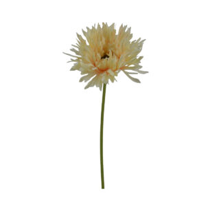 Gerbera Daisy - Light Pink - , 45 cm