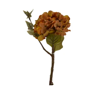Hortensia Hydrangea - Orange , 45 cm