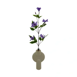 Clematis - Light - Purple, 85 cm