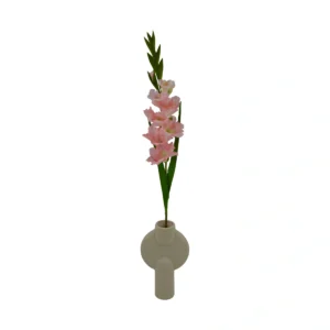 Gladiolus Sword Lily - Pink, 90 cm