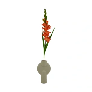 Gladiolus Sword Lily - Orange, 90 cm