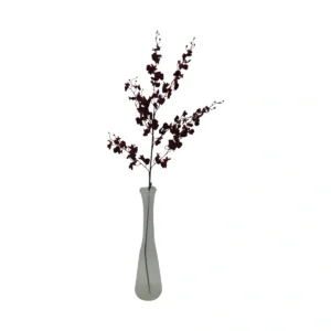 Oncidium - Dancing Lady Orchid - Red, 115 cm