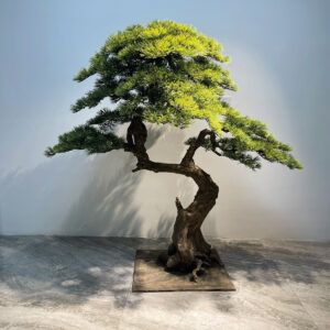 Large Artificial Japanese Bonsai Pine Tree - Green, 150 cm
