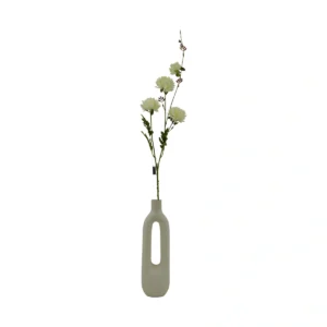Calendula Officinalis Marigold - White, 90 cm
