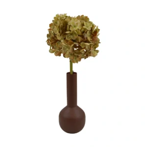 Autumn Hortensia Hydrangea - Yellow , 48 cm