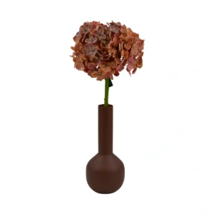Autumn Hortensia Hydrangea - Brown , 48 cm