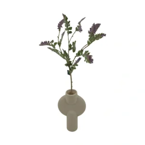 Jacobaea Maritima Leafs - Green, 67 cm