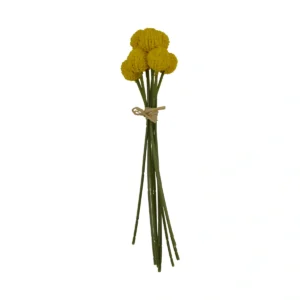 Craspedia Billy Button Bunch - Yellow, 23 cm