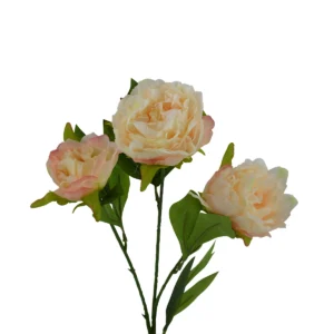 Peony - 3 Head - Artificial - Cream, White, 74 cm