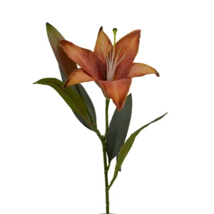 Lily Lilium - Orange, 52 cm