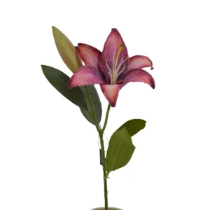 Lily Lilium - Pink, 52 cm