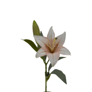 Lily Lilium - White, 52 cm