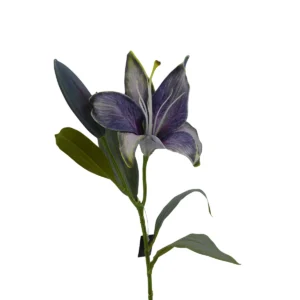 Lily Lilium - Purple, 52 cm