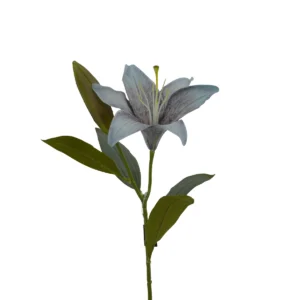 Lily Lilium - Blue, 52 cm