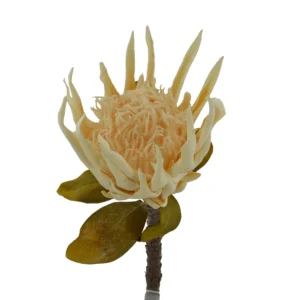 King Protea Stem - White, 92 cm