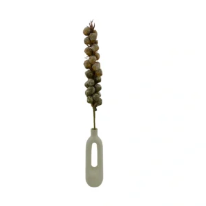 Artificial Suntan Seed Pod Stem - Cream, 80 cm