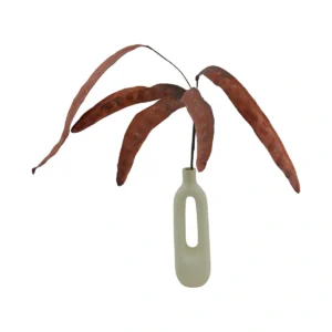 Royal Poinciana Seed Pods Branch - Red, 120 cm