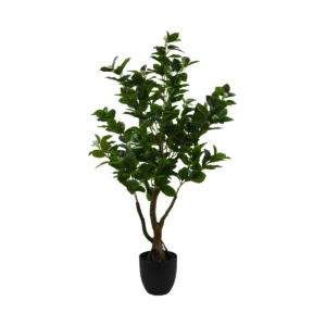 Artificial Ficus Tree With Twisted Trunk - Green, 120 cm