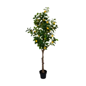 Artificial Lemon Tree With Realistic Fruits – Potted - Green, 180 cm