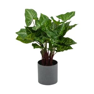 Artificial Syngonium Plant In Grey Pot - Green, 90 cm