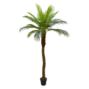 Artificial Large Phoenix Roebelenii Palm - Green, 190 cm