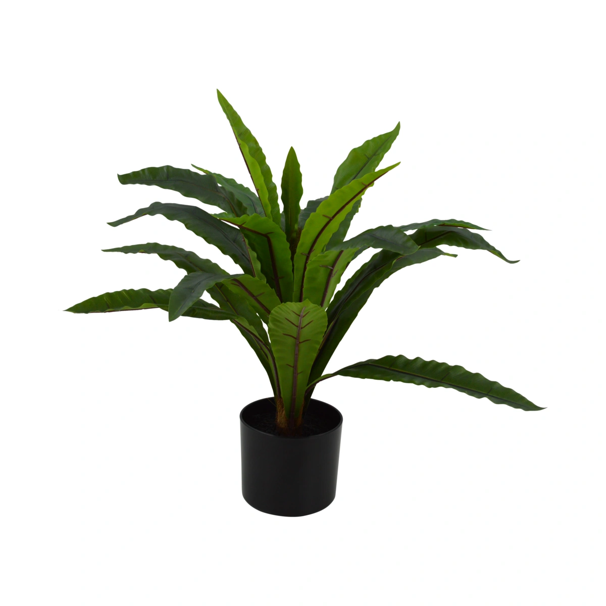 Artificial Small Asplenium Plant - Green, 60 cm