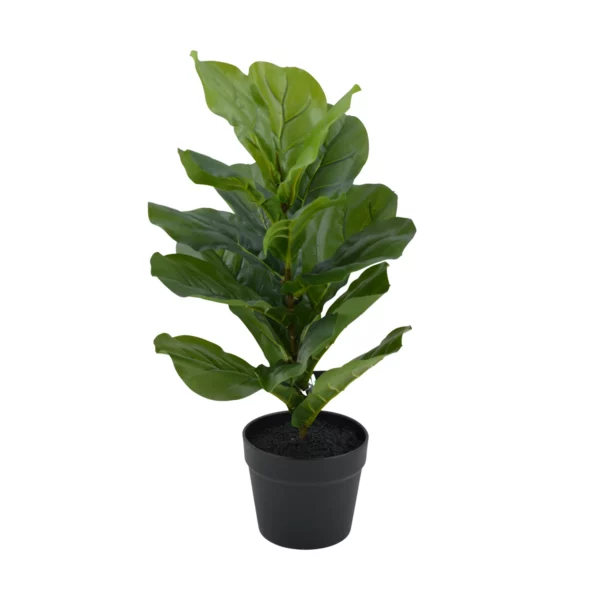 Artificial Ficus Lyrata - Fiddle Leaf Fig Tree - Green, 62 cm