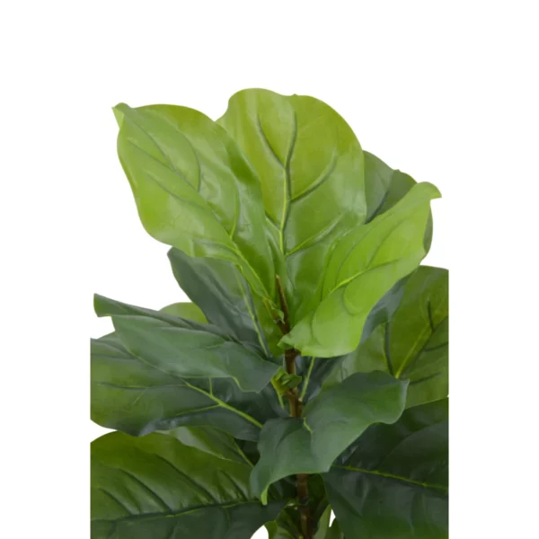 Artificial Ficus Lyrata - Fiddle Leaf Fig Tree - Green, 62 cm - Image 2