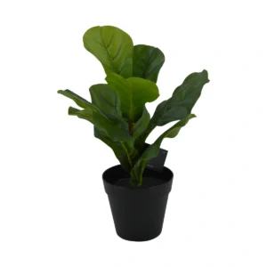 Artificial Small Ficus Lyrata - Fiddle Leaf Fig Plant - Green, 35 cm