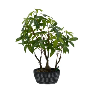 Artificial Mini Schefflera - Money Tree - In Decorative Ceramic Pot - Green, 60 cm