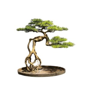 Artificial Bonsai Tree Exposed Roots And Textured Trunk - Green, 95 cm