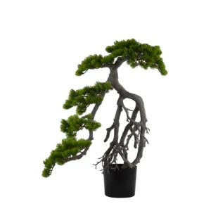 Elegant Artificial Japanese Pine Bonsai Tree With Exposed Roots - Green, 70 cm
