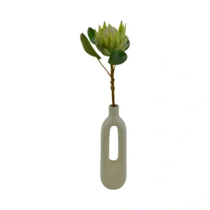 Protea Cynaroides Elegant Bloom Stem - Green, 65 cm