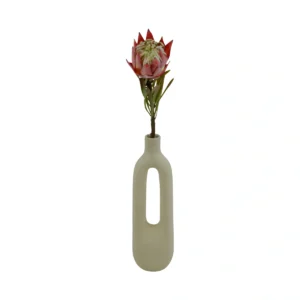 Protea Cynaroides Small Stem - Red, 55 cm