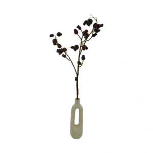 Dry Pomegranate Fruit Stem - Brown/Red, 98 cm