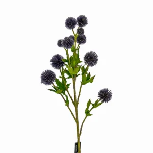 Globe Thistle - Echinops Ritro - Purple, 66 cm