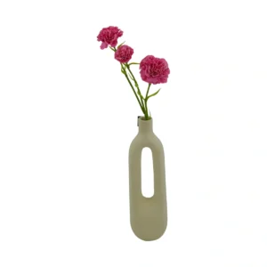 Dianthus Carnation - Red, 60 cm
