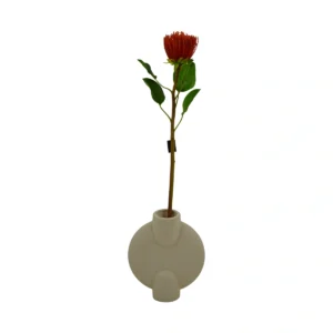 Artificial Pincushion Protea Stem - Orange, 64 cm