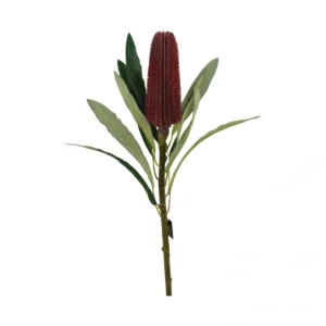 Australian Honeysuckle - Artificial Banksia Flower - Red, 60 cm