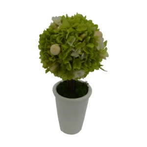 Hortensia (Hydrangea) Potted - Green, 28,5 cm