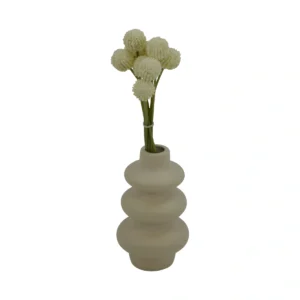 Craspedia Billy Button Bunch - White, 28 cm