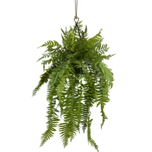 Fern Pteris Hanging Plant - Green, 120 cm