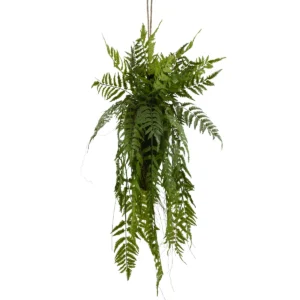 Fern Pteris Hanging Plant - Green, 120 cm
