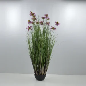 Chrysanth Onion Grass - 14 Head - Potted - Green, purple, 120 cm