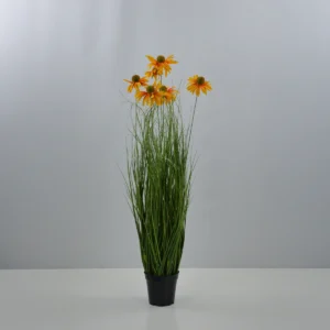 Chrysanth Onion Grass - 6 Head - Potted - Green, yellow, 100 cm