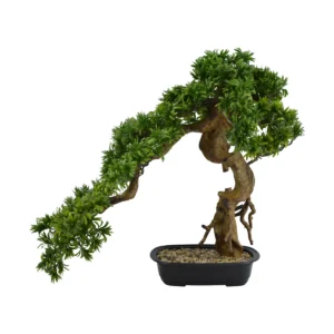 Artificial Buddhist Pine Bonsai Tree - Podocarpus Macrophyllus - Green, 72 cm