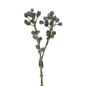 Eucalyptus Fruit Gumnuts - Green, white, gray, 73 cm