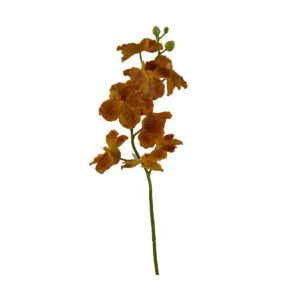 Vanda Orchid Branch - Orange, 89 cm