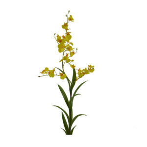 Oncidium Branch - Yellow, 63 cm
