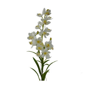 Cymbidium Orchid Branch - White, 120 cm